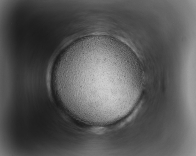 X0000087610055200705181302