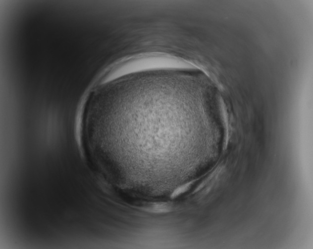 X0000087610056200705181302