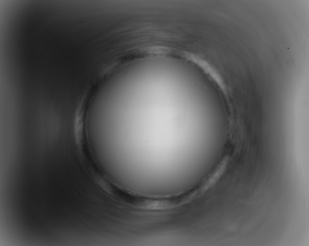 X0000087610057200705181302