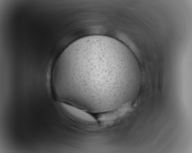 X0000087610058200705181302