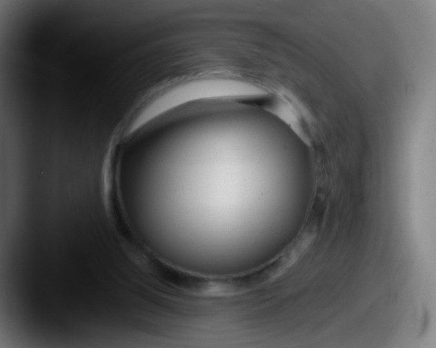 X0000087610060200705181302