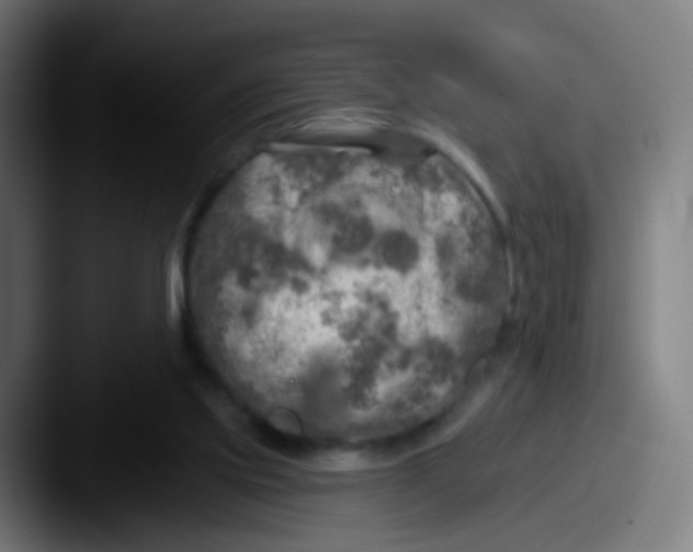 X0000087610061200705181302