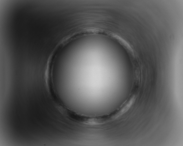 X0000087610064200705181302