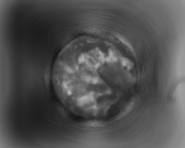 X0000087610065200705181302