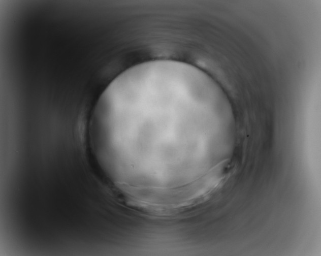 X0000087610066200705181302