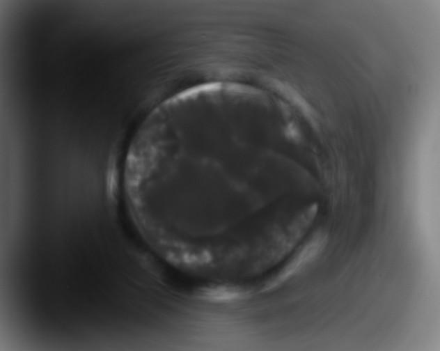 X0000087610067200705181302