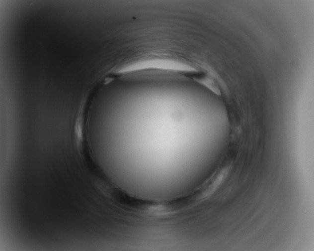 X0000087610068200705181302