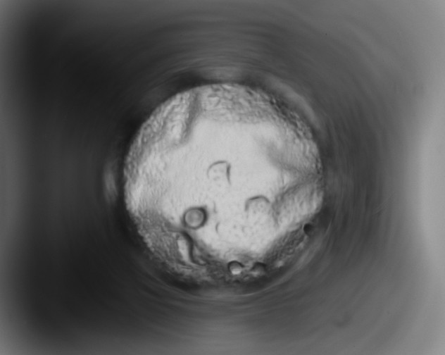 X0000087610069200705181302