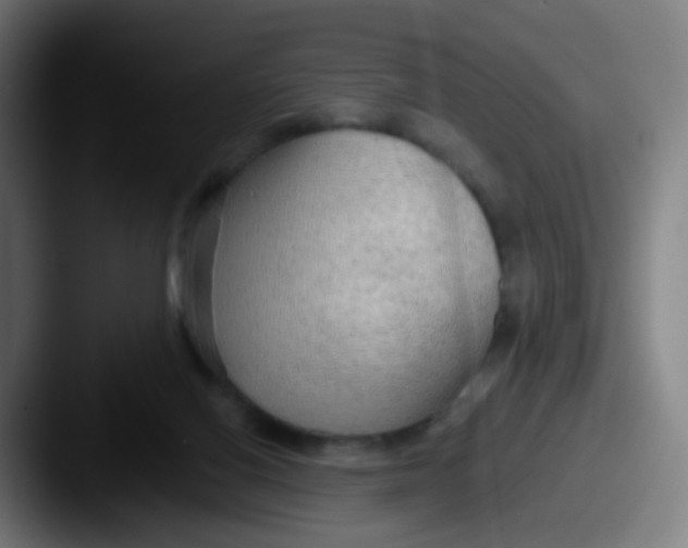 X0000087610070200705181302