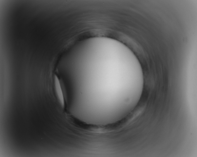 X0000087610071200705181302