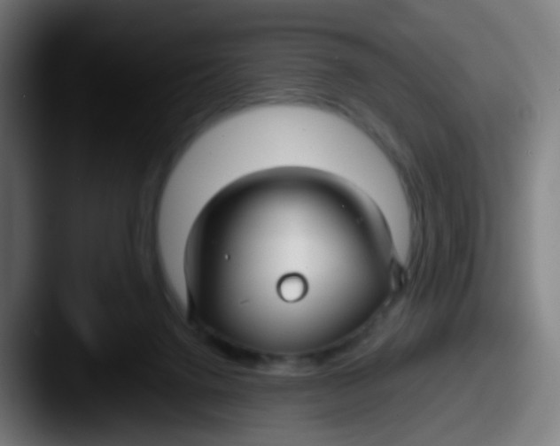 X0000087610072200705181302