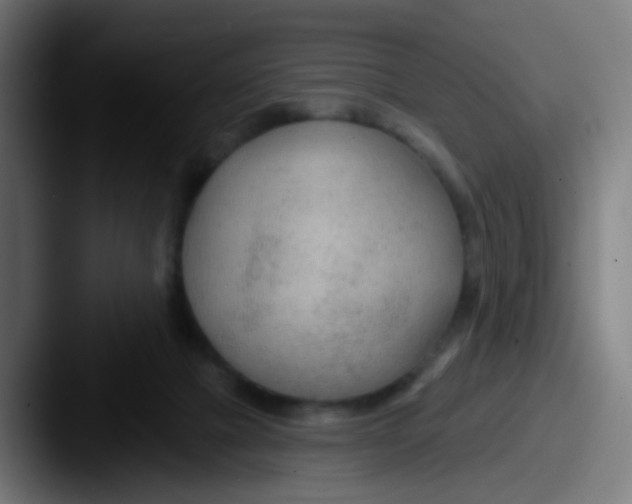 X0000087610073200705181302