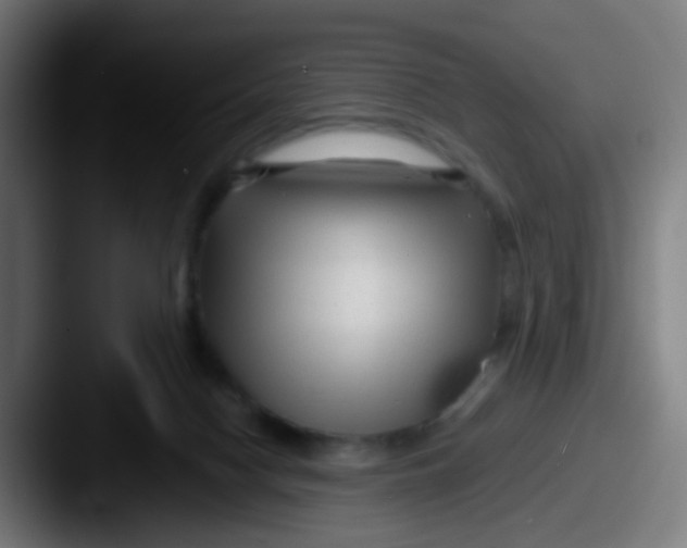 X0000087610074200705181302