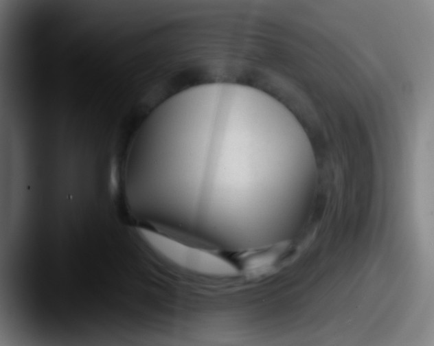 X0000087610075200705181302