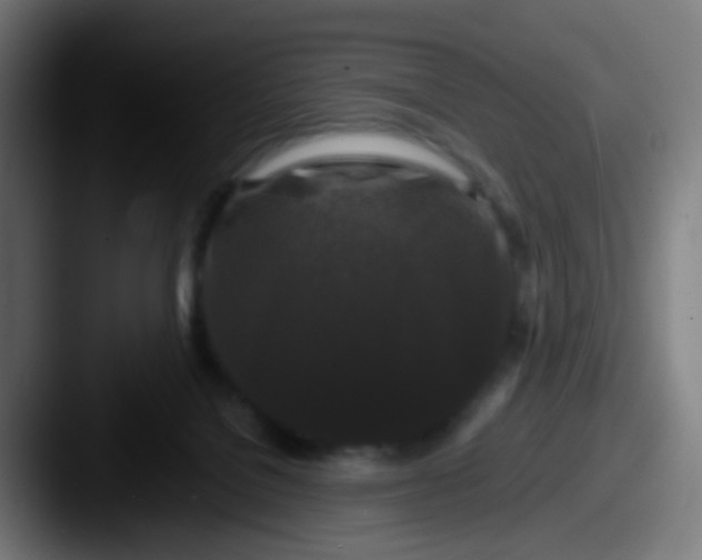 X0000087610076200705181303