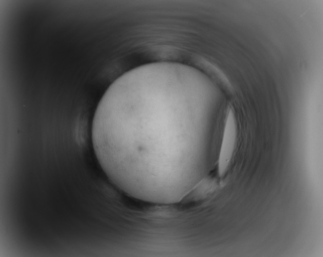 X0000087610077200705181303