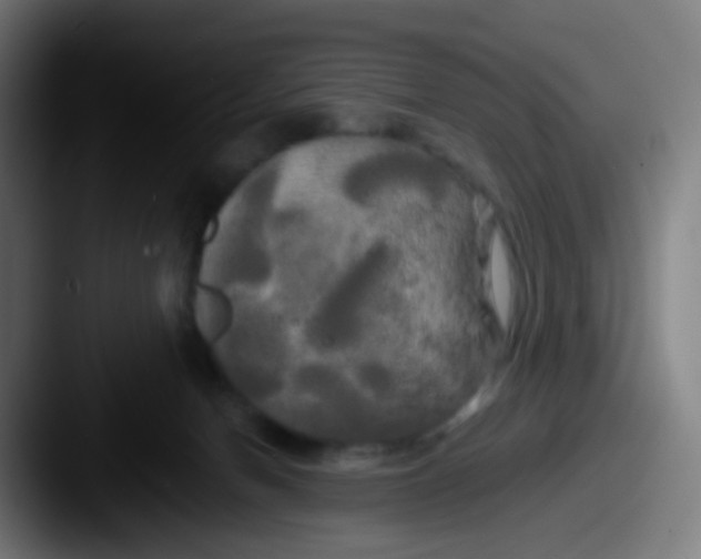 X0000087610078200705181303