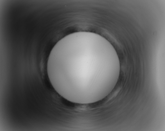 X0000087610079200705181303