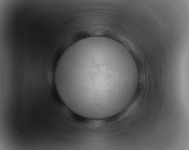 X0000087610081200705181303