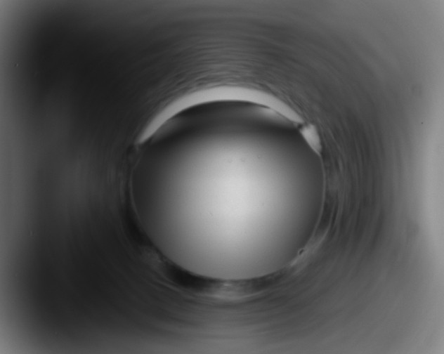 X0000087610082200705181303