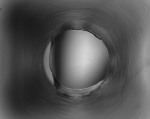 X0000087610084200705181303