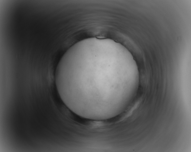 X0000087610085200705181303