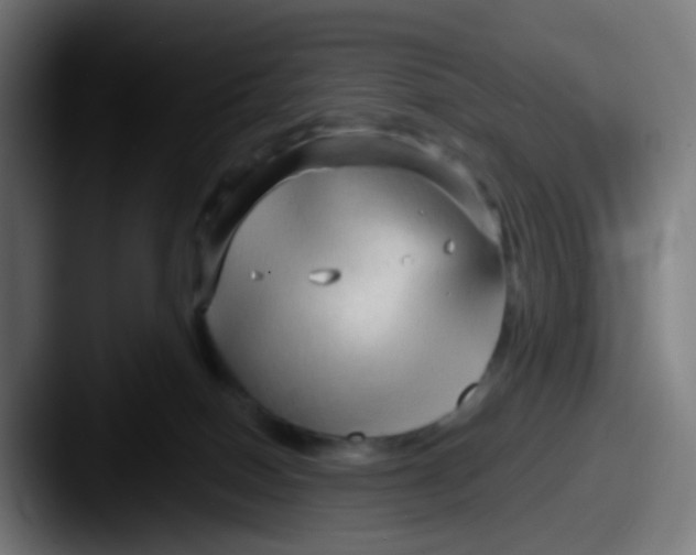 X0000087610086200705181303