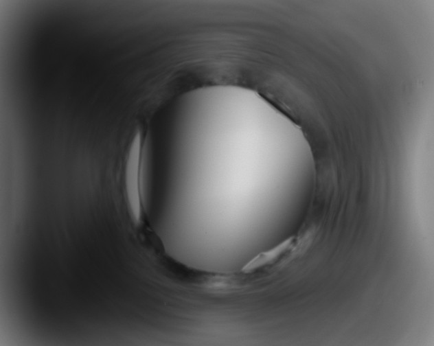 X0000087610088200705181303