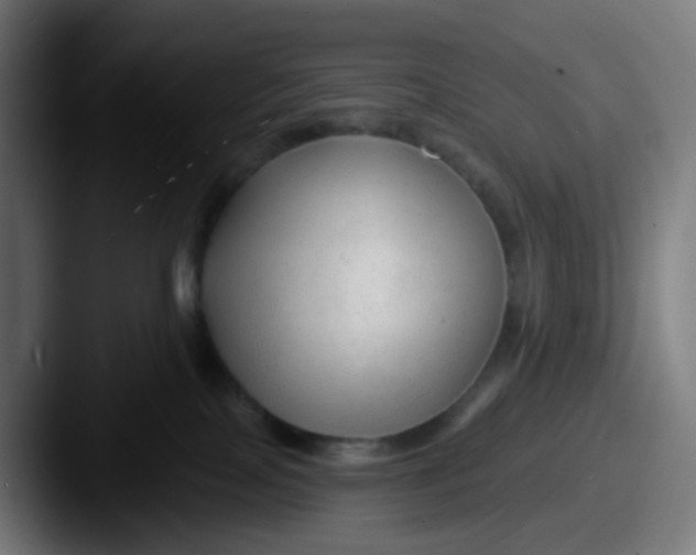 X0000087610089200705181303