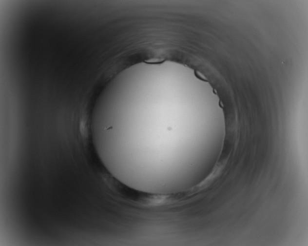 X0000087610090200705181303