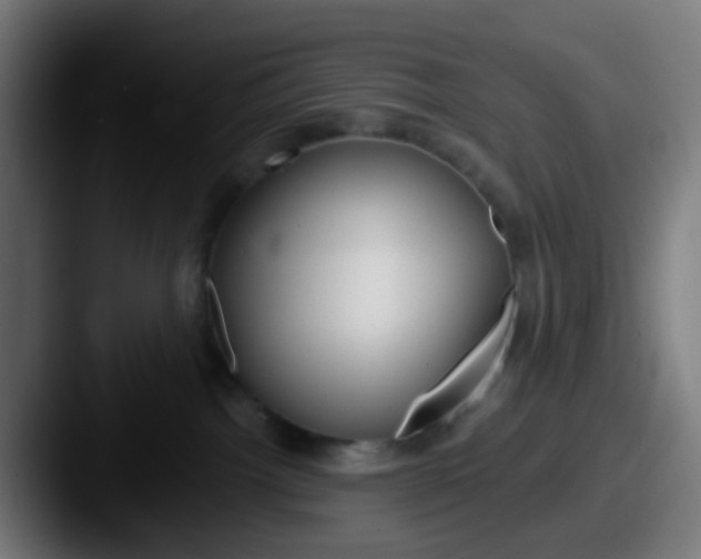 X0000087610092200705181303