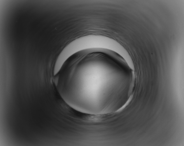 X0000087610094200705181303