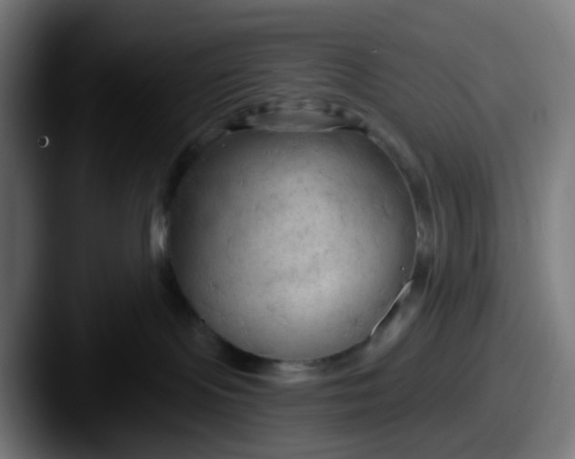 X0000087610095200705181303