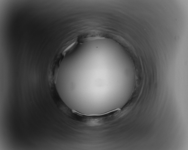 X0000087610096200705181303