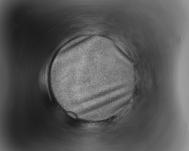 X0000087610100200705181302