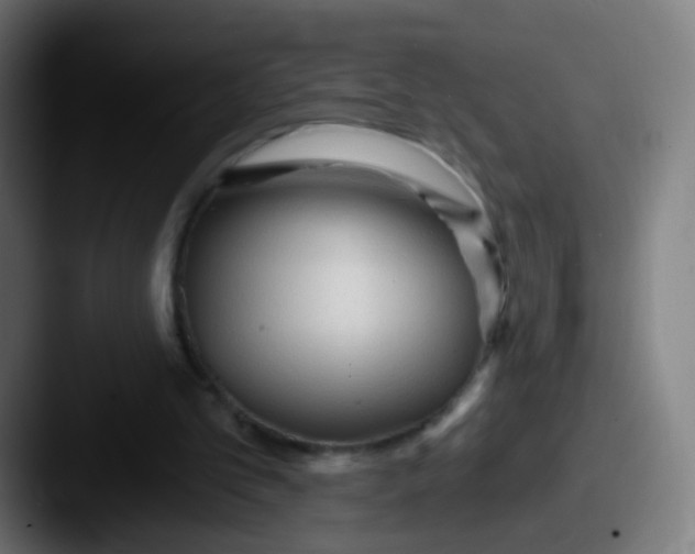 X0000087610101200705181302