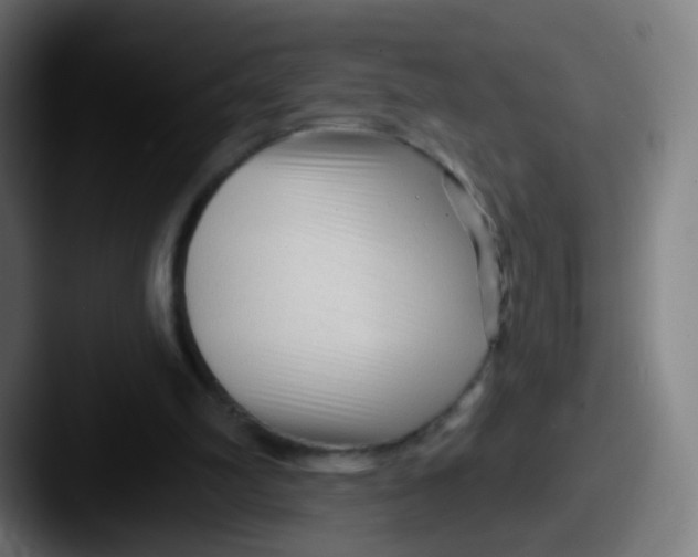 X0000087610102200705181302