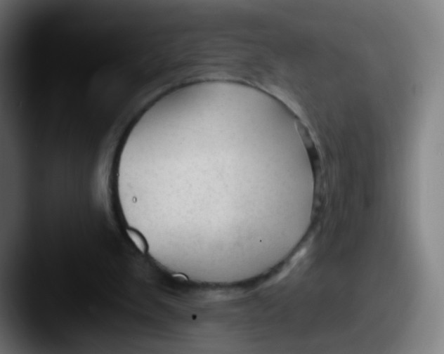 X0000087610103200705181302