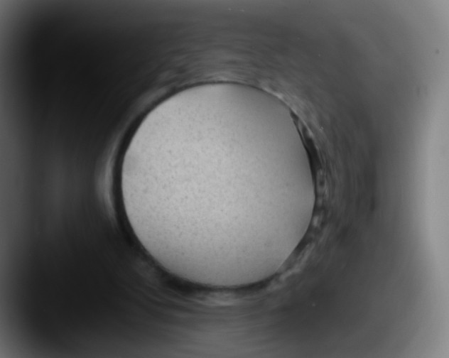 X0000087610104200705181302