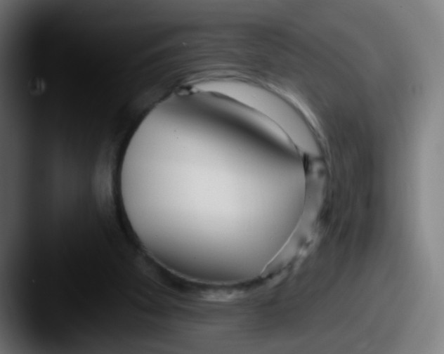 X0000087610105200705181302