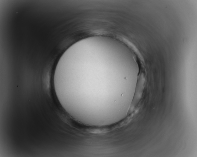 X0000087610106200705181302