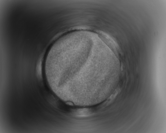 X0000087610108200705181302