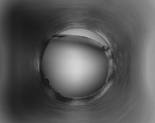 X0000087610109200705181302