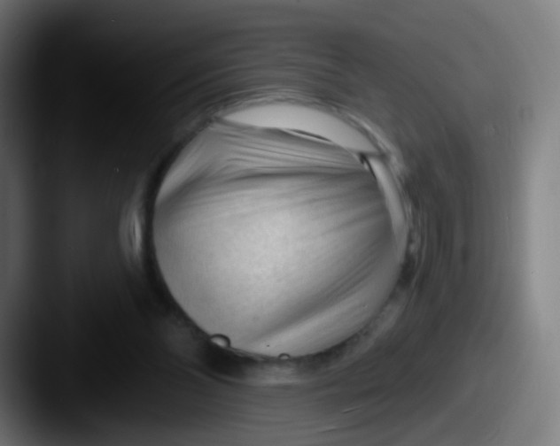 X0000087610110200705181302