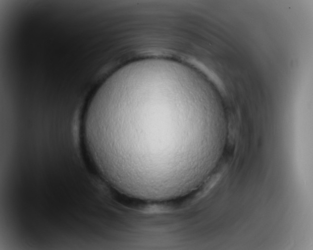 X0000087610111200705181302