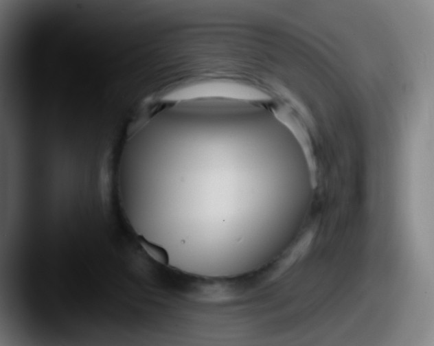 X0000087610113200705181302