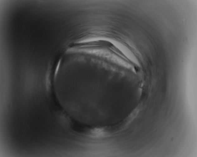 X0000087610114200705181302