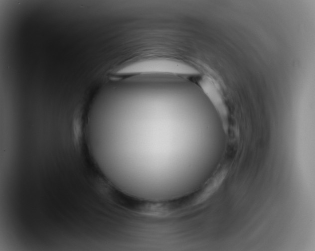 X0000087610117200705181302