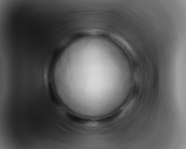 X0000087610119200705181302