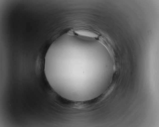 X0000087610121200705181302